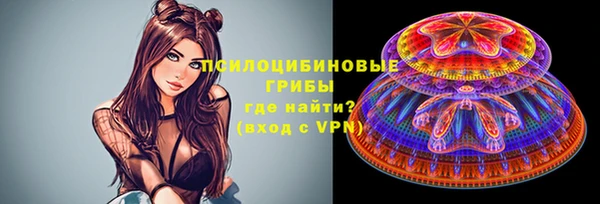 эйфоретик Алексеевка