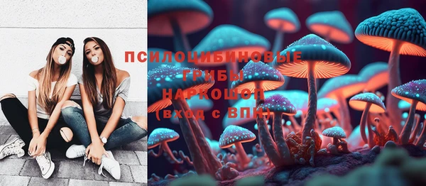 а пвп мука Арсеньев