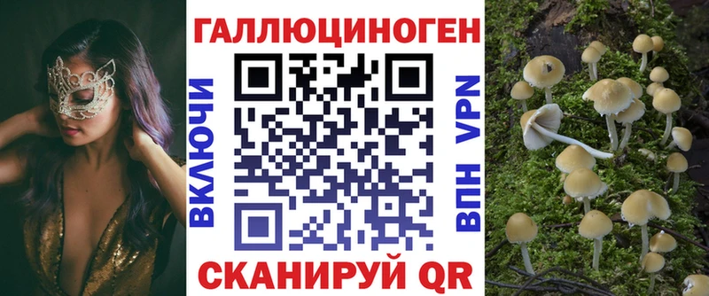 Псилоцибиновые грибы прущие грибы  darknet формула  Алейск 